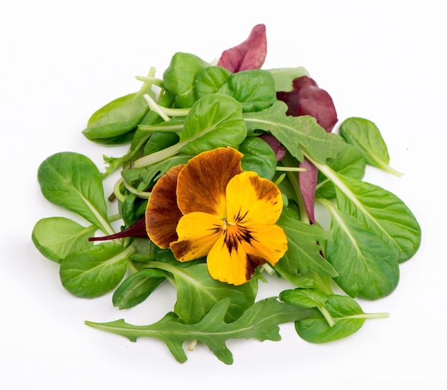 Mescolare l'insalata con insalata di spinaci rucola rosso e fiori commestibili su un bianco isolato