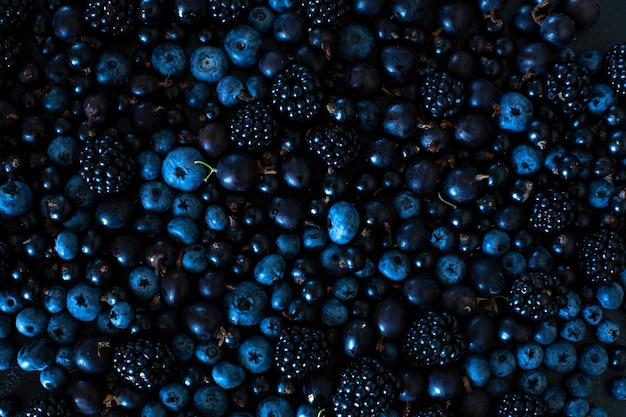 Mix set layout of different types of black berries  on a black table. Stylish seasonal vitamins