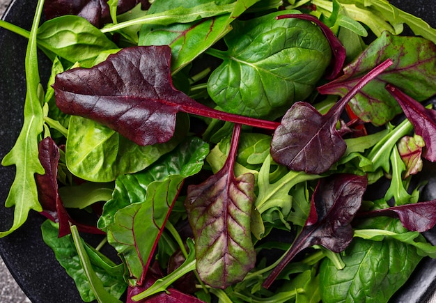 Mix van groene saladebladeren