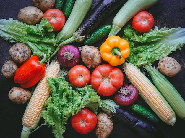 Mix of vegetables and herbs on a dark back, Harvest