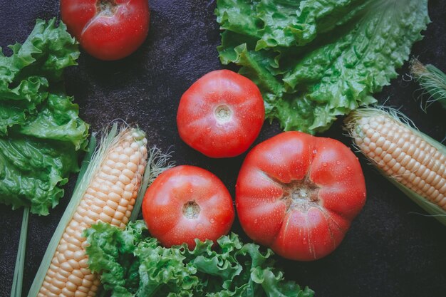 暗い背中に野菜とハーブを混ぜて、収穫