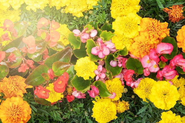 Mixed flower arrangement