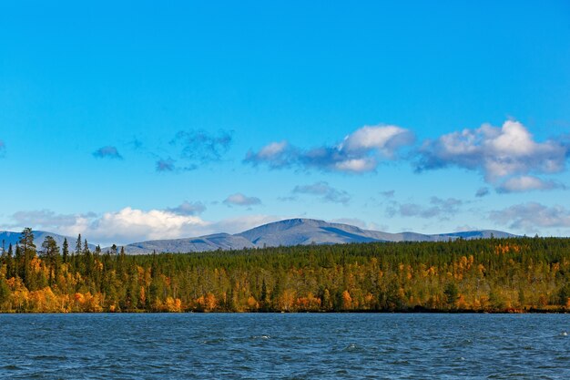 キビニー山脈近くのイマンドラ湖にある色とりどりの葉の混交林。秋の風景、コラ半島、ロシア。