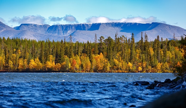 Mixed forest with colorful foliage on Imandra Lake near the Khibiny mountains Autumn landscape