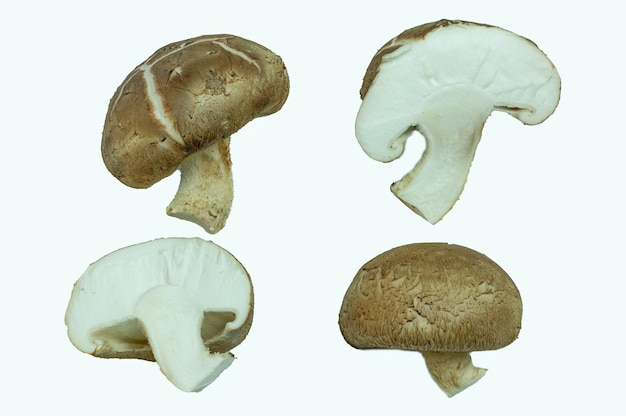 Mixed mushrooms on white background top view and copy space food concept