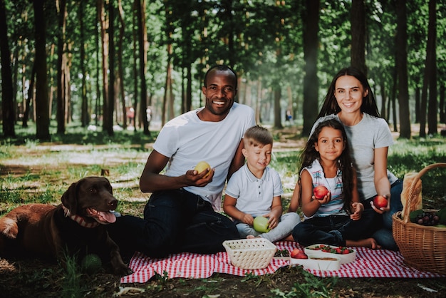 Mixed Race Family Picnicking Having Healthy Food