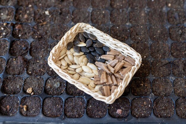 Mixed vegetable seeds in a small basket