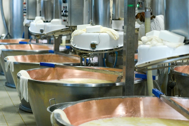 Mixing and heating organic milk making parmesan cheese in chessemaking facility