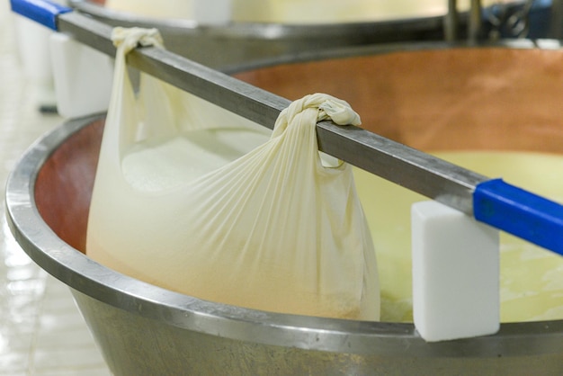 チーズ製造施設で有機牛乳を混合して加熱し、パルメザン チーズを製造する