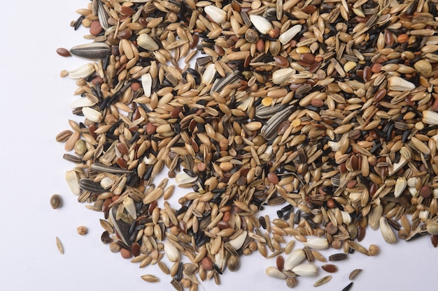鳥タイプChlorischlorisの白い背景の穀物の混合物