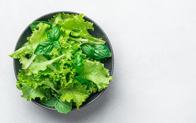 A mixture of healthy greens in a plate on a gray background Diet food Fresh basil and lettuce leaves