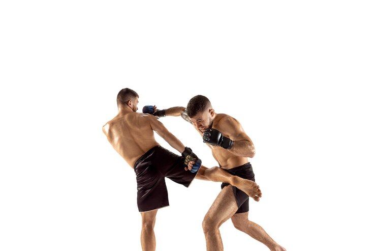 Photo mma 두 명의 전문 fightesr 펀치 또는 권투 흰색 스튜디오 배경에 고립