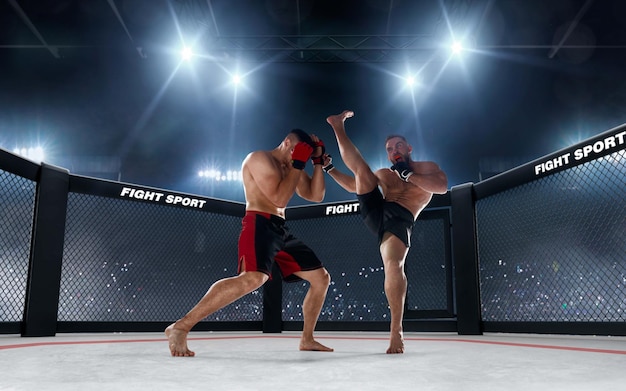 MMA-vechters op professionele ring Fighting Championship