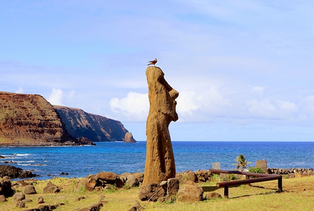 moai a vere ki haho bij de ingang van ahu tongariki met een vogel die op het hoofd van het Paaseiland Chili neerstrijkt