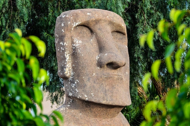 Moai staande van Paaseiland, Chili, Zuid-Amerika