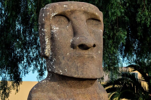 Moai standing from Easter Island