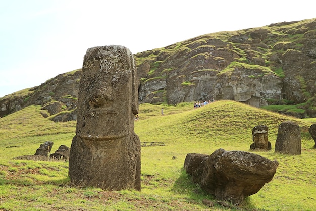 칠레 이스터 섬의 역사적인 모아이 채석장인 라노 라라쿠 화산에 흩어져 있는 모아이 조각상