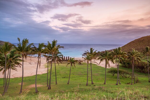 Photo moais at anakena beach in easter island