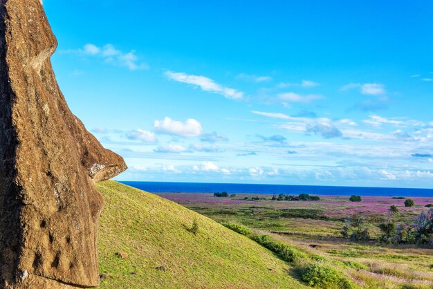 Foto statua di moai che guarda il mare