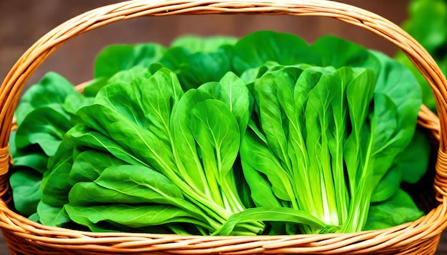 Mock pakchoi pesticidefree on a wicker basket