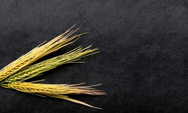 Mock up barley on black floor