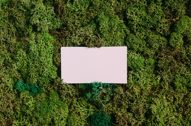 Mock up business cards on a background of green moss. Concept on the theme of nature.