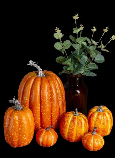 Mock up Pumpkins isolated over black background Halloween Concept Autumn fall Copy space