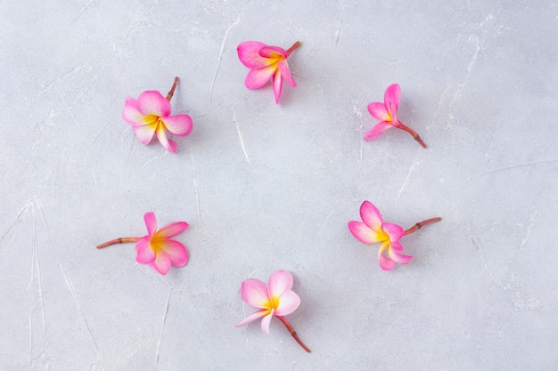 Mock up round floral frame on concrete.