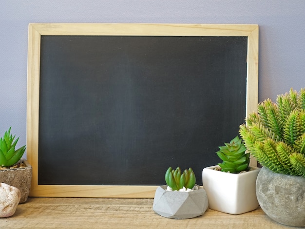 Mock up school board and green cactus