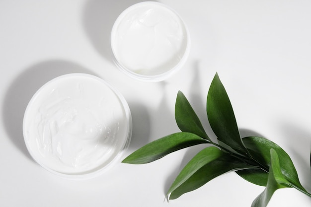 A mock up white jar of cream on a white gray background on a white table with green leaves of a tropical plant with hard shadows Stylish look of the product identity