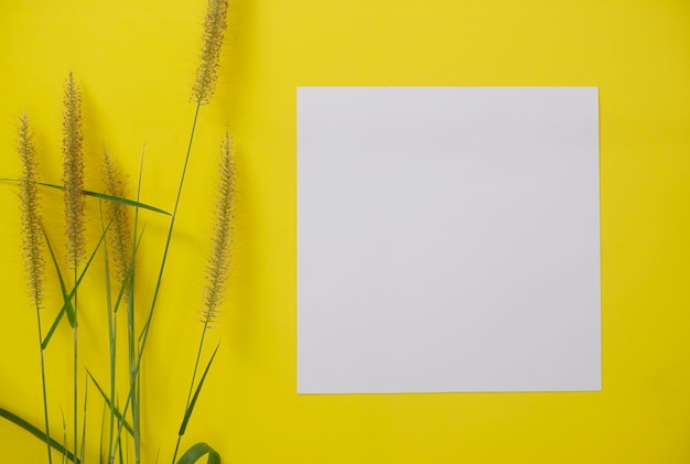 写真 黄色い背景と花の上にテキストや画像のスペースがある白い紙のモックアップ