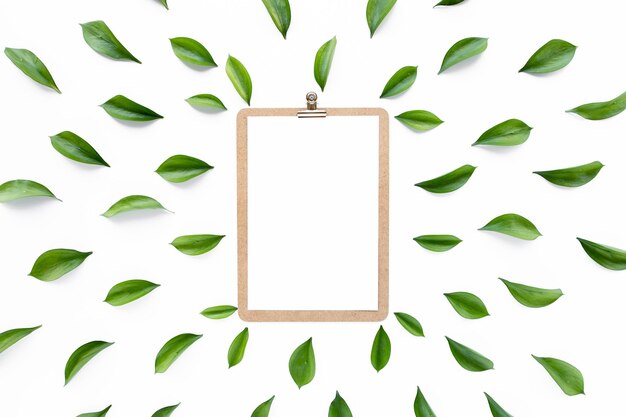 Mock up with frame workspace with green leaves and branches isolated on white background Flat lay top view