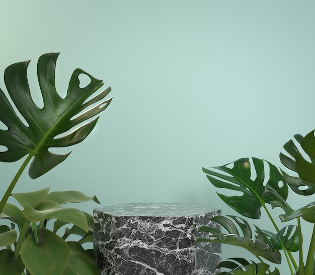 Mockup podio in marmo nero con piante monstera tropic su sfondo menta 3d rendering