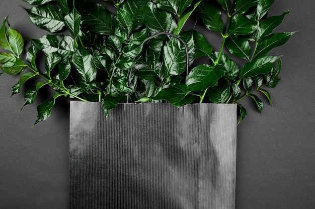 Mockup of black shopping bag on a dark background with green leaves, flat lay, space for text, top view