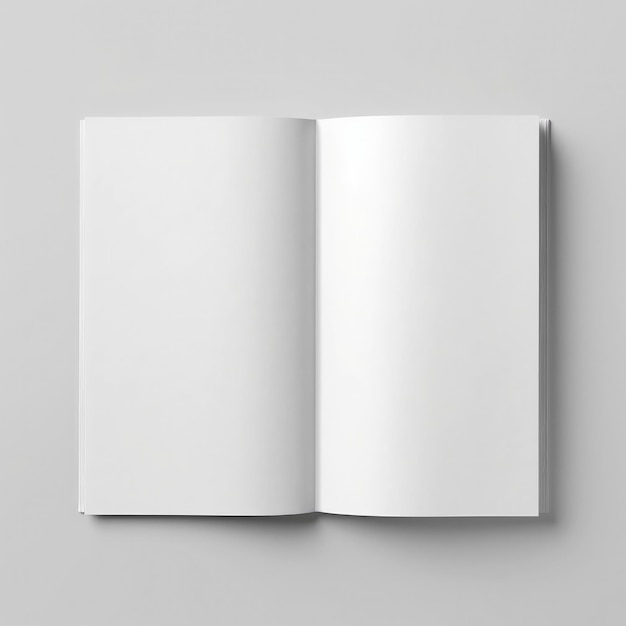 mockup of a blank empty book