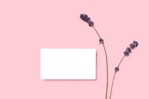 Mockup één opengewerkt visitekaartje op een roze minimalismeachtergrond en lavendelbloemen