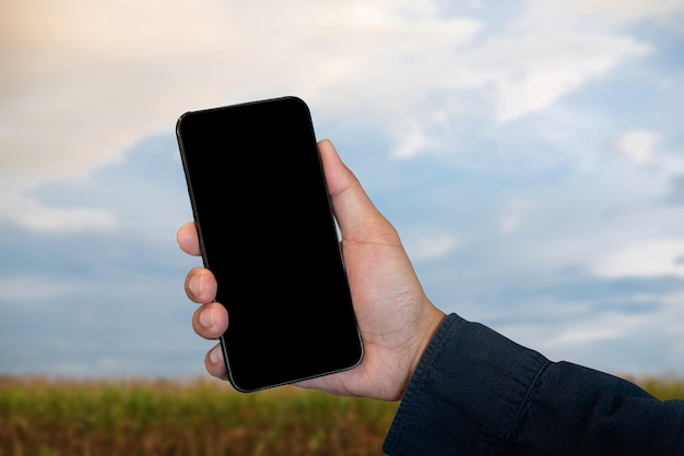 Mockup image of hand holding blank mobile phone with blank
white screen in field panorama with copy space