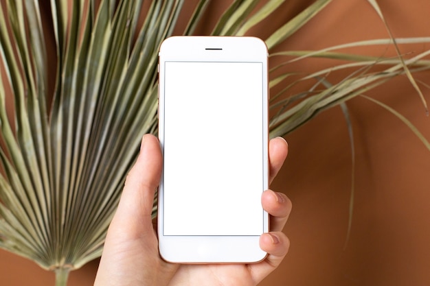 빈 흰색 화면으로 휴대 전화를 들고 손의 모형 이미지.