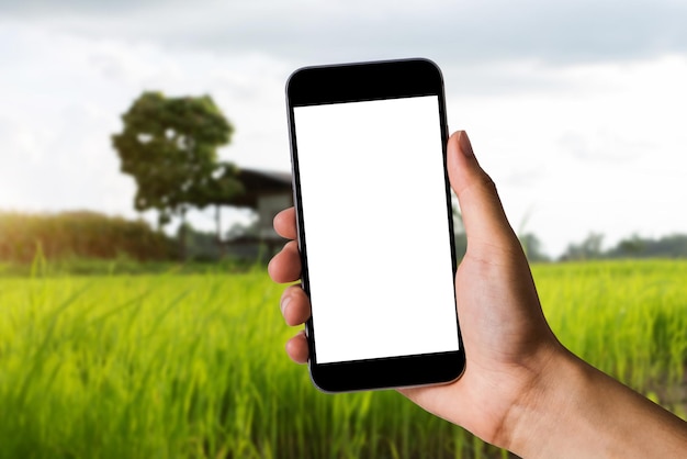 Mockup image of hand holding white mobile phone with blank\
white screen in field panorama with copy space