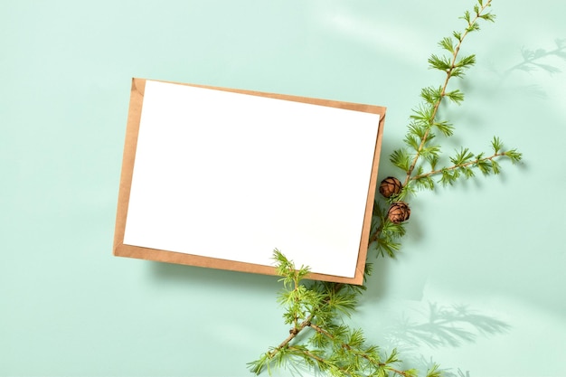 A mockup of a kraft envelope with a blank sheet and a branch of green larch on a light blue background