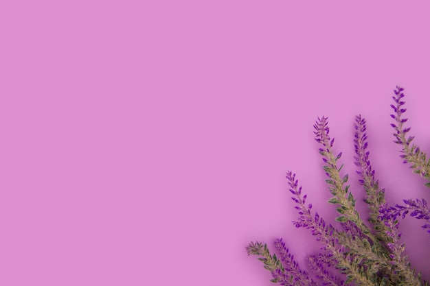 Mockup lavender background with copy space