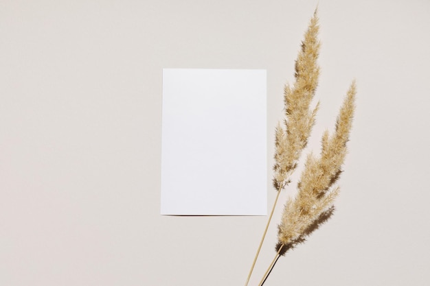 Foto mockup met blanco vel papier kaart en gedroogd pampagras over beige pastel achtergrond met trendy schaduw en zonlicht minimale zakelijke merksjabloon plat bovenaanzicht