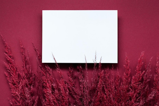 Foto mockup met leeg blanco papier en gedroogd pampasgras over pastelbeige achtergrond minimaal stijlvol concept kleur viva magenta van het jaar 2023