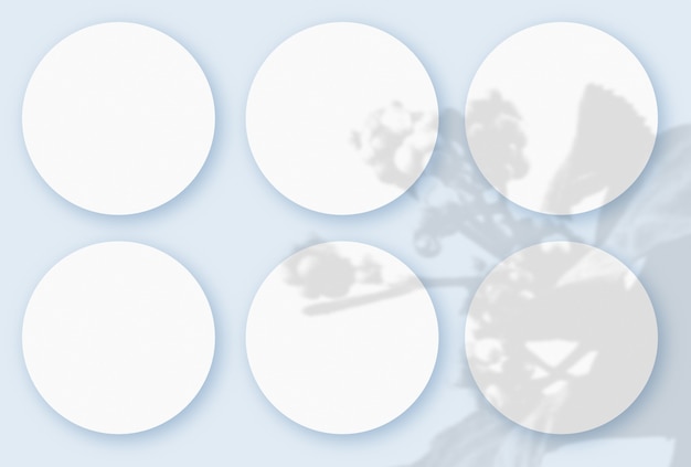 Mockup met plantaardige schaduwen bovenop 6 ronde vellen gestructureerd wit papier op een blauwe tafelachtergrond