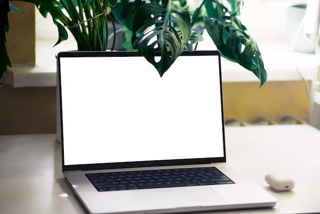 Mockup for a Modern workplace with an open laptop with a white screen and green monstera on the white table Website or app design template