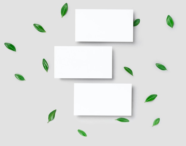 Mockup one cutaway discount business card on a grey minimalism background and green leaves branch