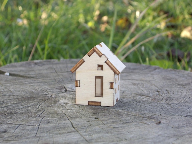 Mockup of a small wooden house on the background of the village