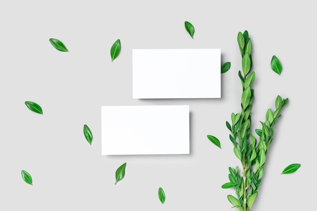 Mockup two cutaway discount business card on a grey minimalism background and green leaves branch