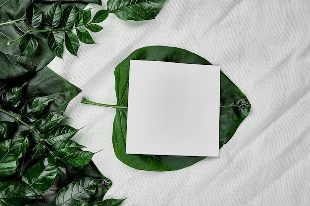 Mockup of white blank card on a textile background with green leaves on the sides, flat lay, space for text, top view, product banner, Nature concept.