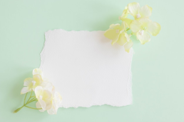 Photo mockup of a white paper card on pastel background,